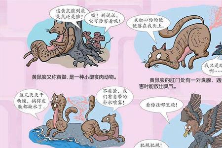 黄鼠狼的屁震天地绕口令