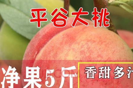 北京九月份有哪些新鲜水果上市