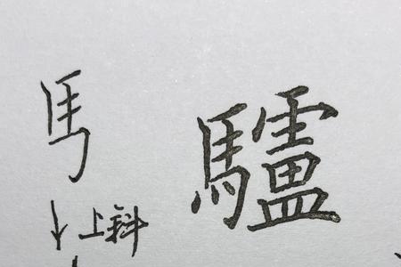 马字旁一个尺读音