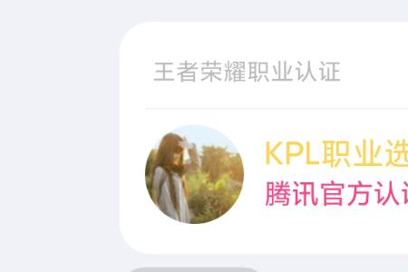 kpl职业选手代码怎么搞