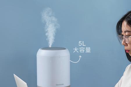 20价位的加湿器好用吗