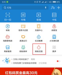 支付宝小鸡怎么关掉
