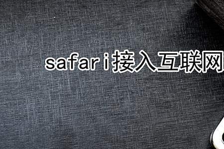 safari无法建立网络连接怎么解决