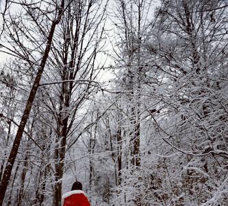 踏雪无痕是什么意思