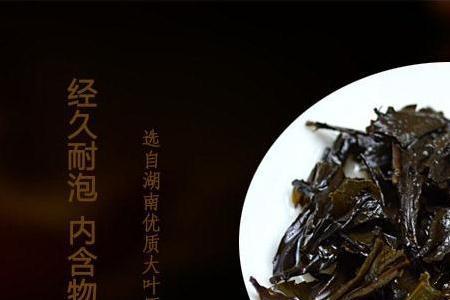 茯茶可以泡几天