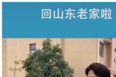 靳东高考成绩