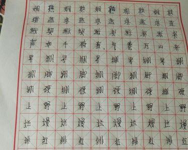 练字每天必练30个字有哪些字