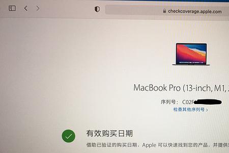 mac256g内存能装虚拟机吗