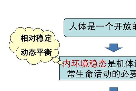 内环境为什么要保持相对稳定