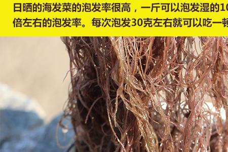 海发菜和海带有区别吗