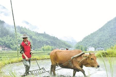 农事活动如犁地写出三个