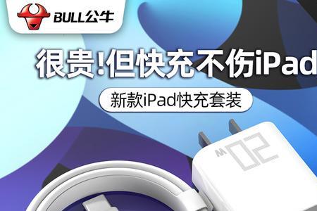 ipad第三方充电器哪个好