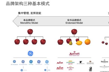 一个新品牌怎么介绍