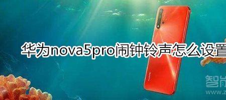 华为nova10pro怎么改闹钟铃声