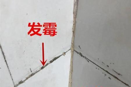 白水泥瓷砖怎样填缝又快又好