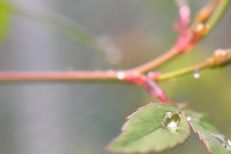 形容小雨的象声词