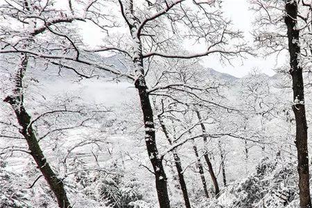 潋滟冬雪的意思