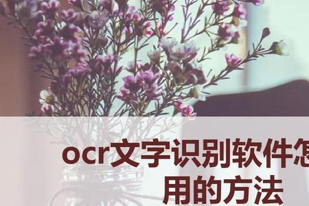 ocr识别流程是什么