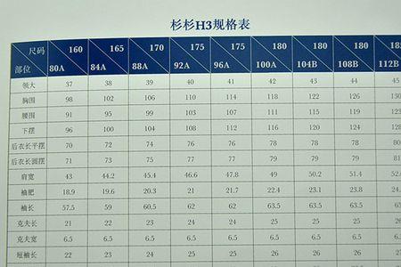 衬衣43号是多大码的