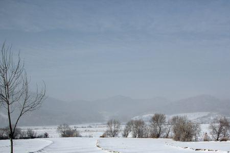 东北冬季的雪书叫什么