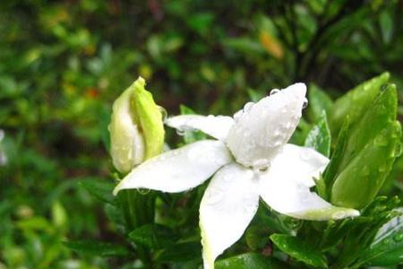 云南梅雨季节是几月