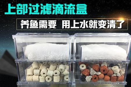 鱼缸外挂过滤器的正确摆放顺序