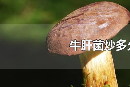 松塔牛肝菌怎么吃