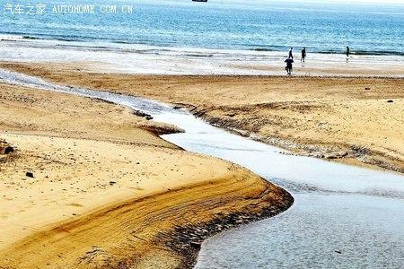 青岛的海水颜色那么深