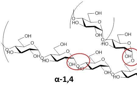 构成淀粉的主要苷键