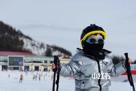 滑雪的两根棍叫什么