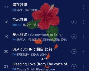 宝藏歌曲是什么意思