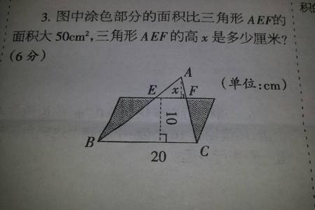 三角形求面积的10道题