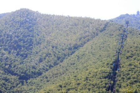 大别山第一竹海风景区怎么样