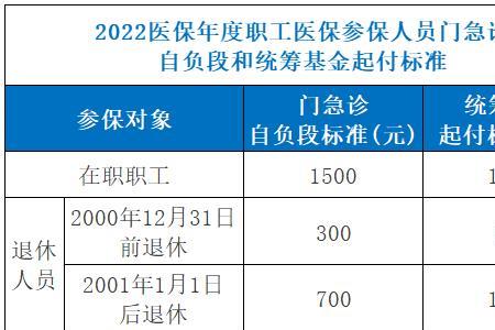 个人自付和分类自负的区别