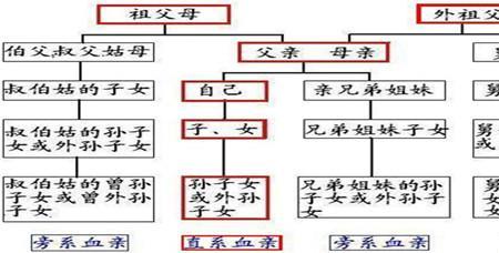 别人包括亲属吗