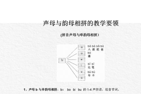 TF声母组成的词有哪些