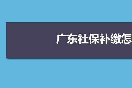 2022社保一次性补缴截止时间