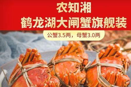 顺丰寄螃蟹全国价目表