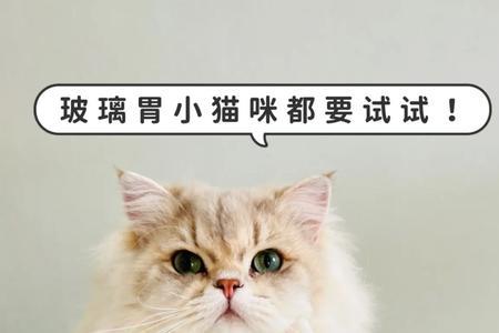 两岁的小猫一次给吃多少益生菌