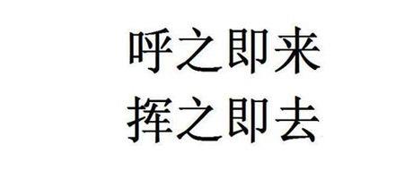 网络词挥挥是什么意思