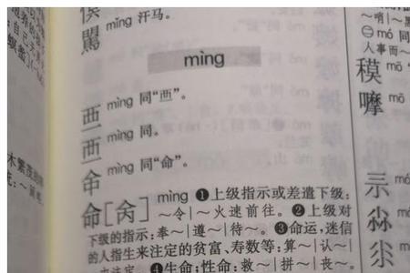 敛的同音字有什么