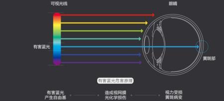 防蓝光等级怎么划分