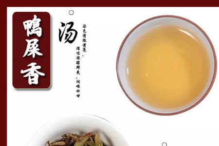 凤凰单枞茶十大品牌