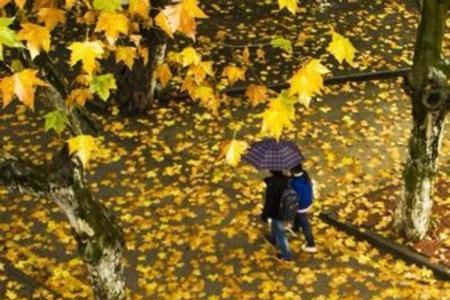 梧桐雨男女主