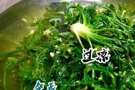 荠菜根部白虫焯水能死吗