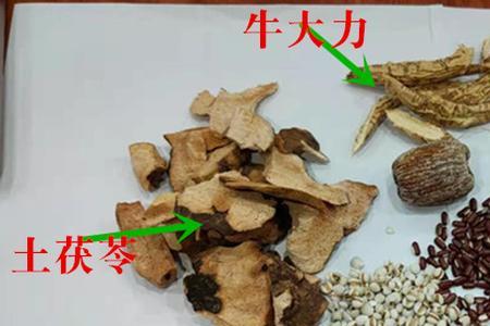 五指毛桃牛大力羊骨煲汤