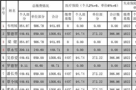 泸州五险一金缴费标准