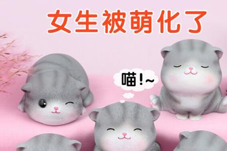 猫生日送什么礼物最好