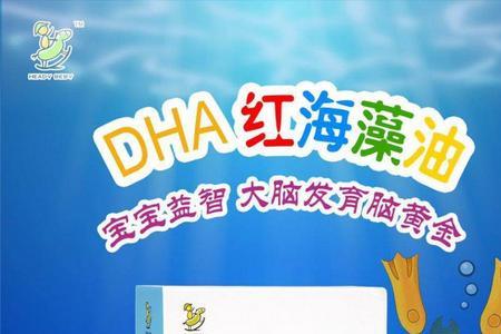 小马琪琪dha藻油正规吗