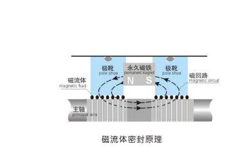 磁流体能溶于水吗